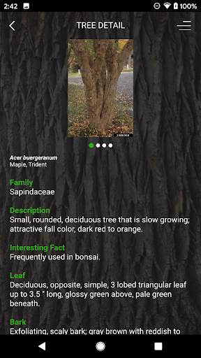 My Tree ID ekran görüntüsü