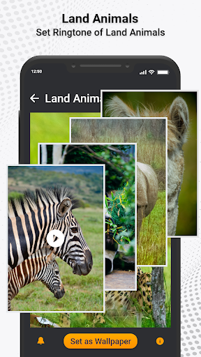 Animal Ringtones & Sounds ekran görüntüsü