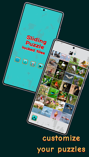 Sliding Puzzle - Locked Tiles ekran görüntüsü