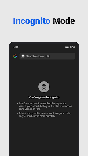 One Browser - Video İndirici ekran görüntüsü