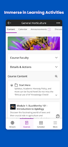 Blackboard ekran görüntüsü