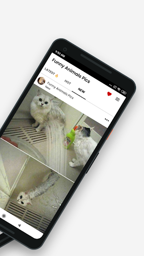 Funny Animal Pictures & Memes ekran görüntüsü