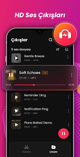 Ses Editörü, Müzik Editörü ekran görüntüsü