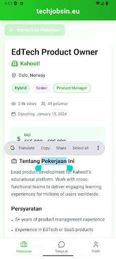 TechJobsInEU: Jobs in EU ekran görüntüsü