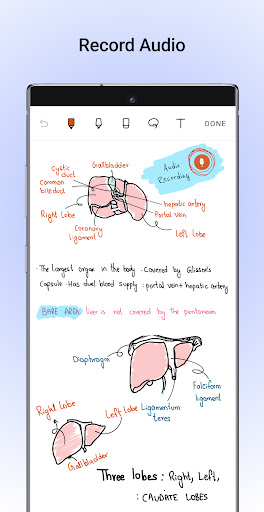 Noteshelf - Notes, Annotations ekran görüntüsü