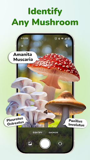Verda: Plant Identify & Cure ekran görüntüsü