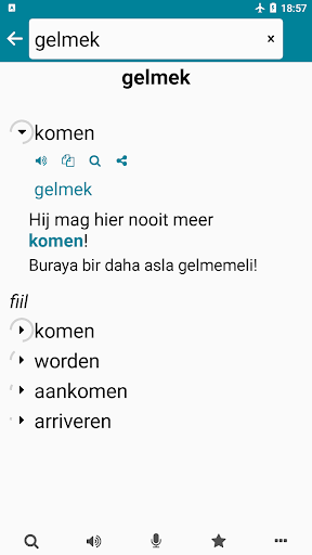 Felemenkçe (Hollandaca) Türkçe ekran görüntüsü