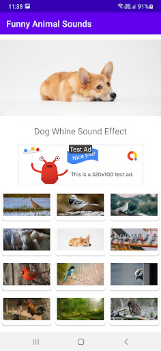 Funny Animal Sounds ekran görüntüsü