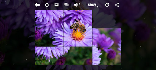 XPicture LF ekran görüntüsü