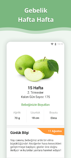 Hamilelik ekran görüntüsü