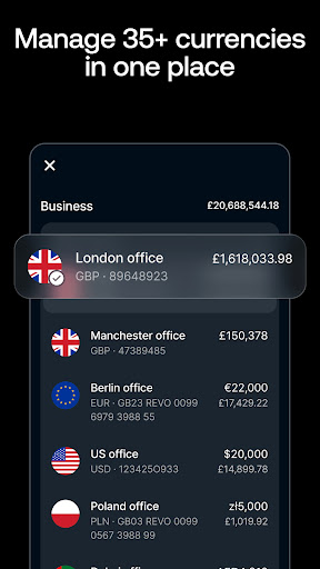 Revolut Business ekran görüntüsü