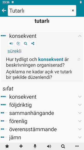 İsveççe - Türkçe ekran görüntüsü
