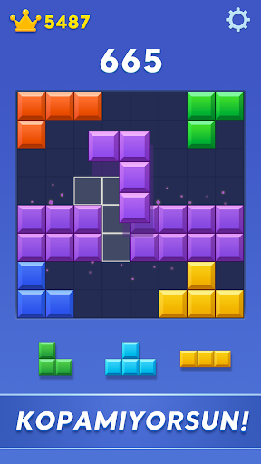 Block Blast! ekran görüntüsü