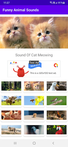 Funny Animal Sounds ekran görüntüsü