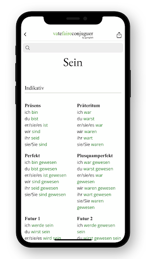 German conjugation ekran görüntüsü