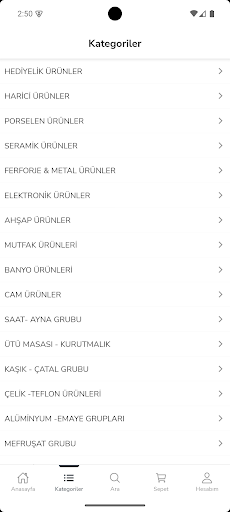 Alina Home ekran görüntüsü
