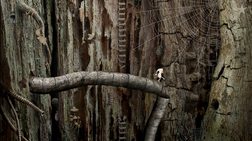 Samorost 2 ekran görüntüsü