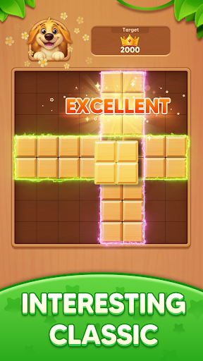 Block Match: Block Puzzle Game ekran görüntüsü