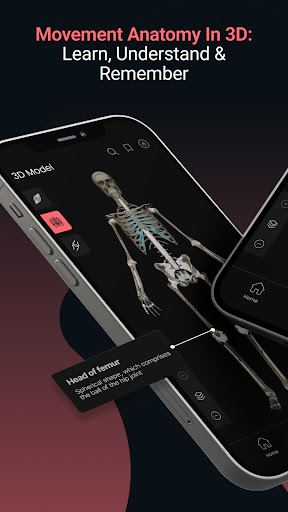 Anatomy by M&M ekran görüntüsü