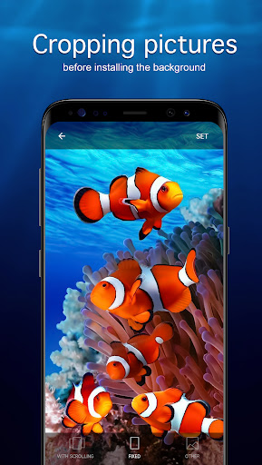 Underwater Wallpapers 4K ekran görüntüsü