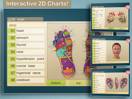 Total Reflexology 3D ekran görüntüsü