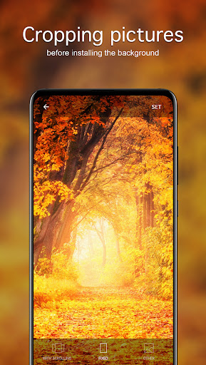 Autumn Wallpapers 4K ekran görüntüsü