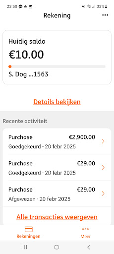 ING Commercial Card ekran görüntüsü