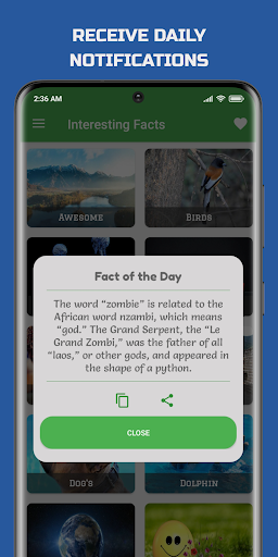 Interesting Facts - Fun Facts ekran görüntüsü