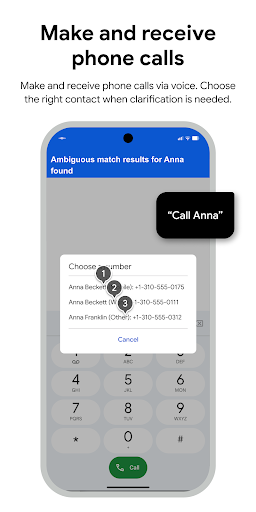 Voice Access ekran görüntüsü