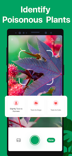 PictureThis - Plant Identifier ekran görüntüsü