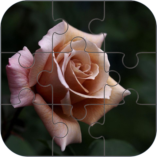 Rose Jigsaw Puzzle