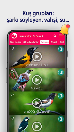 Kuş şarkıları: Zil Sesleri ekran görüntüsü