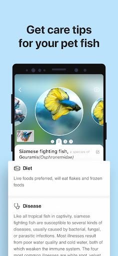 Picture Fish - Fish Identifier ekran görüntüsü