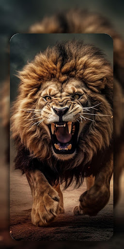 Lion Wallpaper 4K ekran görüntüsü