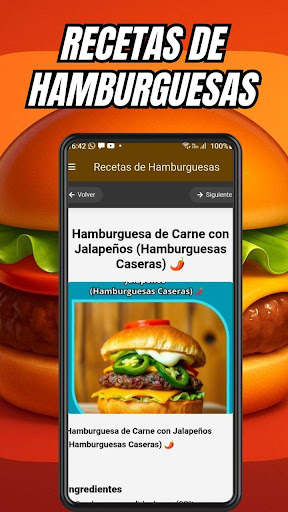 Recetas de Hamburguesas ekran görüntüsü