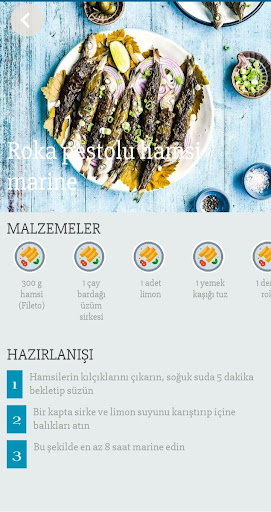 Balık Tarifleri ekran görüntüsü