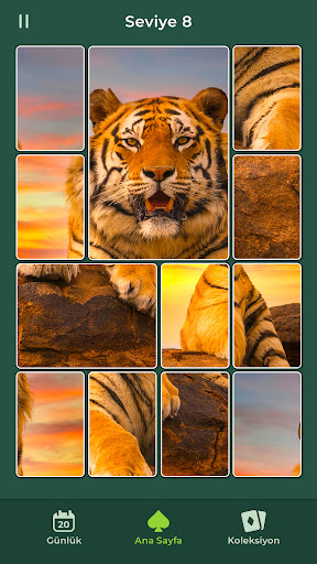 Cardscapes: Yapboz ekran görüntüsü