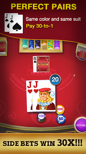 Blackjack 21 - Black Jack Game ekran görüntüsü