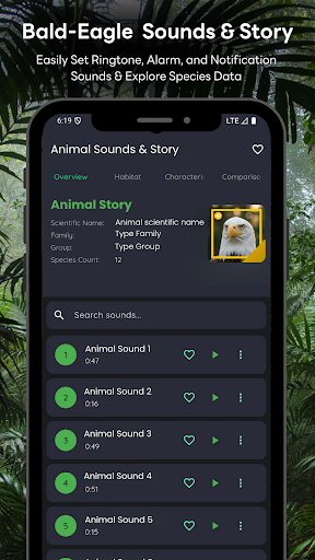 Bald-Eagle Sounds & Story ekran görüntüsü