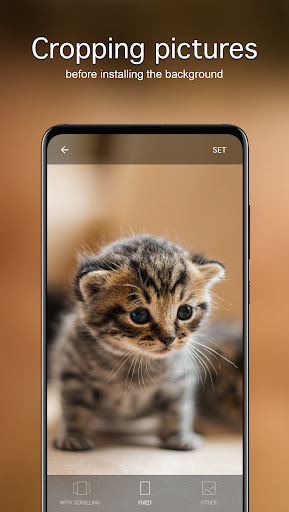 Cute Animal Wallpapers 4K ekran görüntüsü