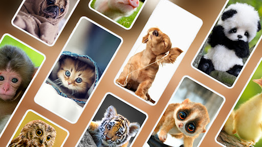Cute Animal Wallpapers 4K ekran görüntüsü