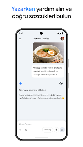 Google Gemini ekran görüntüsü