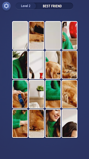 JigLive: Jigsaw Video Puzzle ekran görüntüsü