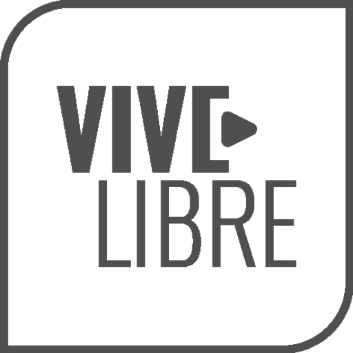 ViveSD