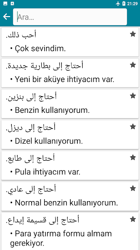Arapça - Türkçe ekran görüntüsü
