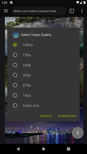 Video Downloader Pro ekran görüntüsü