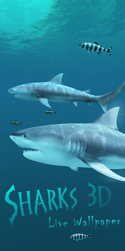 Sharks 3D - Live Wallpaper ekran görüntüsü