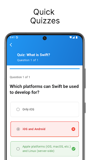 Learn Swift Programming ekran görüntüsü