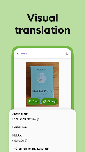 Kagi Translate ekran görüntüsü