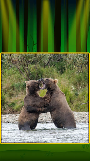 Animal Jigsaw Puzzle Game ekran görüntüsü
